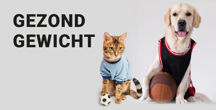 Een gezond gewicht voor jouw huisdier