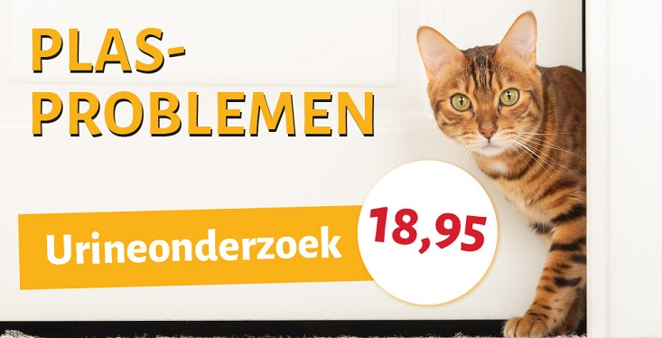 Plasproblemen?