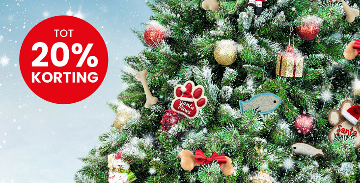 Aanbieding kerst