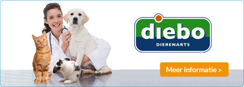 slider db dierenarts 475x170