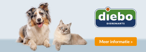 slider db dierenarts 475x170