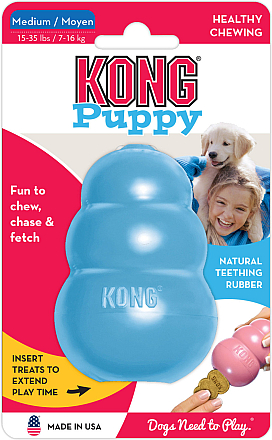 Kong Puppy M