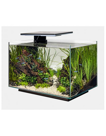 SUPERFISH AQUARIUM QUADRO 70 PRO ZWART