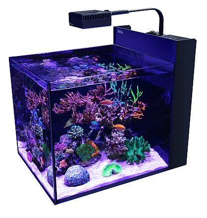 RED SEA MAX NANO PENINSULA  EXCL. MEUBEL