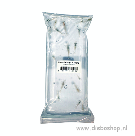 Aquadip Levende Steurgarnalen