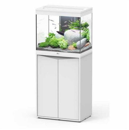 Aquatlantis aquarium Splendid 60 Biobox Wit