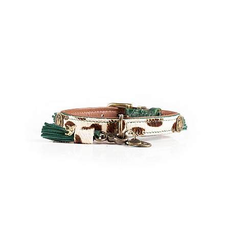 Dog with a Mission halsband Ivy