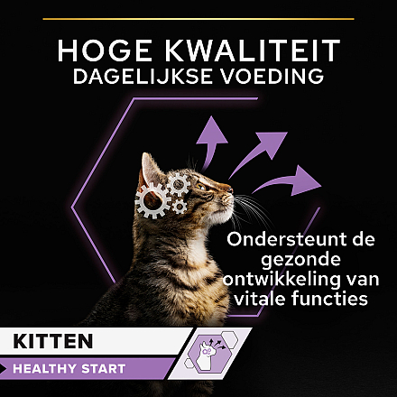 Pro Plan kattenvoer Junior Nutrisavour Kalkoen 10 x 85 gr