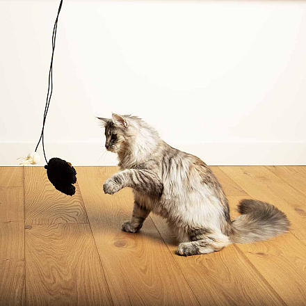 D&D Kattenspeelgoed Bouncy Belle