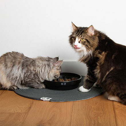 D&D I Love Happy Cats Placemat Jill Groen
