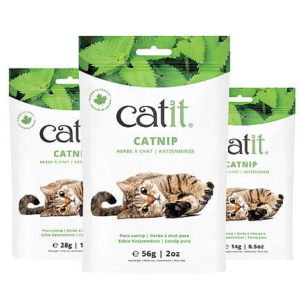 Catit Catnip 14 gr