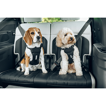 Thule Hondentuig Cappy