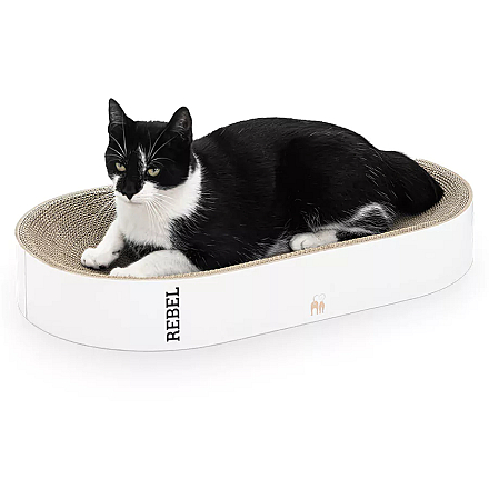 Petrebels Krabkarton Scratch 'n Rebel Oliver 61 White