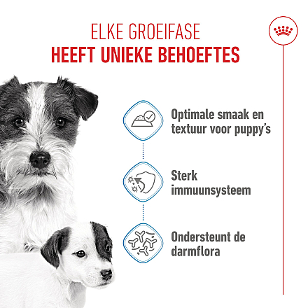 Royal Canin Hondenvoer Starter Mousse 195 gr