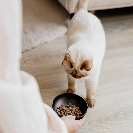 District 70 Voer- en Drinkbak Royal Antraciet