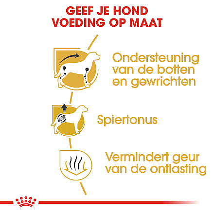 Royal Canin Hondenvoer Dachshund Adult 1,5 kg