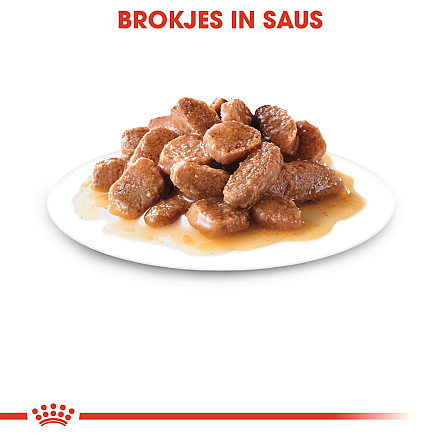 Royal Canin Kattenvoer Ageing 12+ in Gravy <br>12 x 85 gr