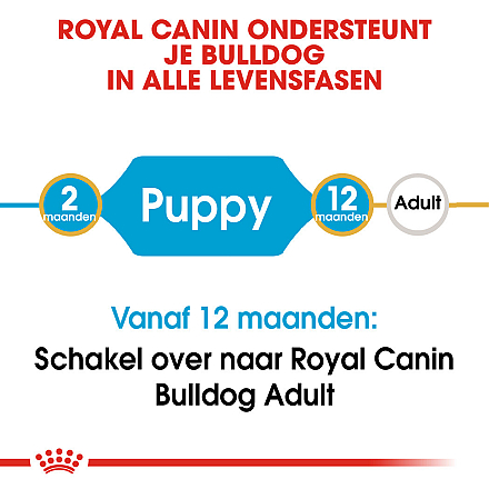 Royal Canin hondenvoer Bulldog Puppy 12 kg