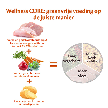 Wellness CORE hondenvoer Original <br>10 kg