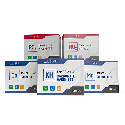 REEF FACTORY CA TEST