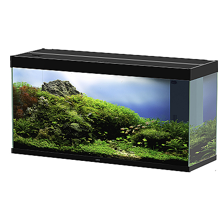 CIANO EMOTIONS NATURE PRO 100 ZWART
