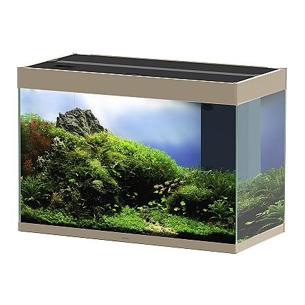 CIANO EMOTIONS NATURE PRO 80 MYSTIC