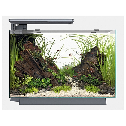 SUPERFISH AQUARIUM QUADRO 70 PRO ZWART