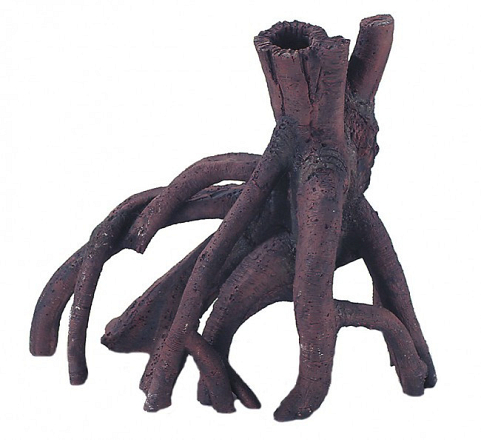 Aqua D'ella root mangrove M