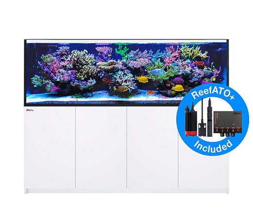 Red Sea Reefer G2+ 3XL 900 Deluxe Wit 4XRL90