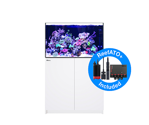 Red Sea Reefer G2+ 300XL Deluxe Wit 2XRL90