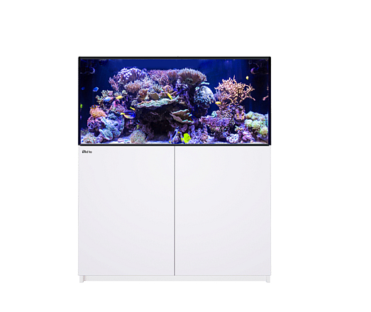 RED SEA REEFER MAX 425 G3 WHITE