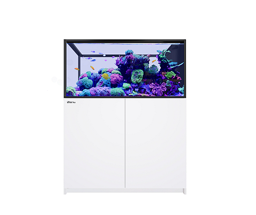 RED SEA REEFER MAX PENINSULA 500 G3 WHITE