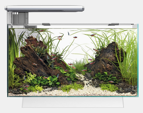 SUPERFISH AQUARIUM QUADRO 70 PRO WIT