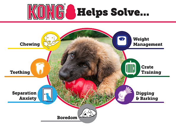 Kong Puppy L