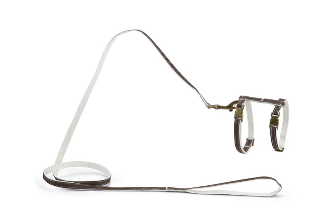 Designed by Lotte Kattentuig Virante