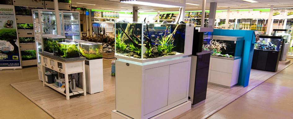 De grootste aquariumspecialist