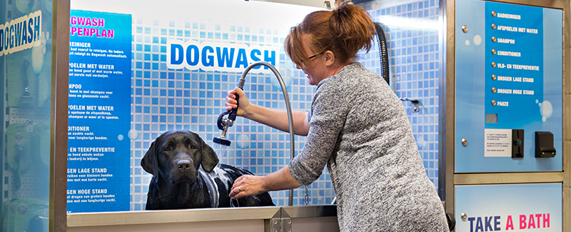 Makkelijk je hond wassen én drogen in onze Dogwash