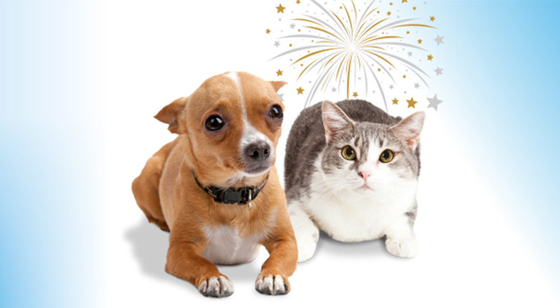 Nov/dec: Vuurwerk