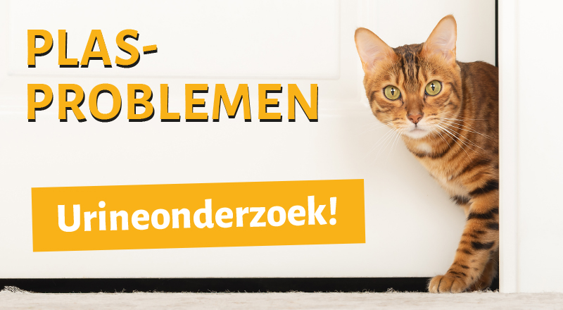 Plasproblemen