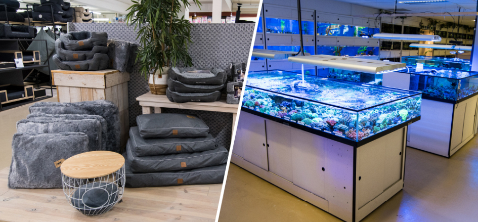 Impressie winkel